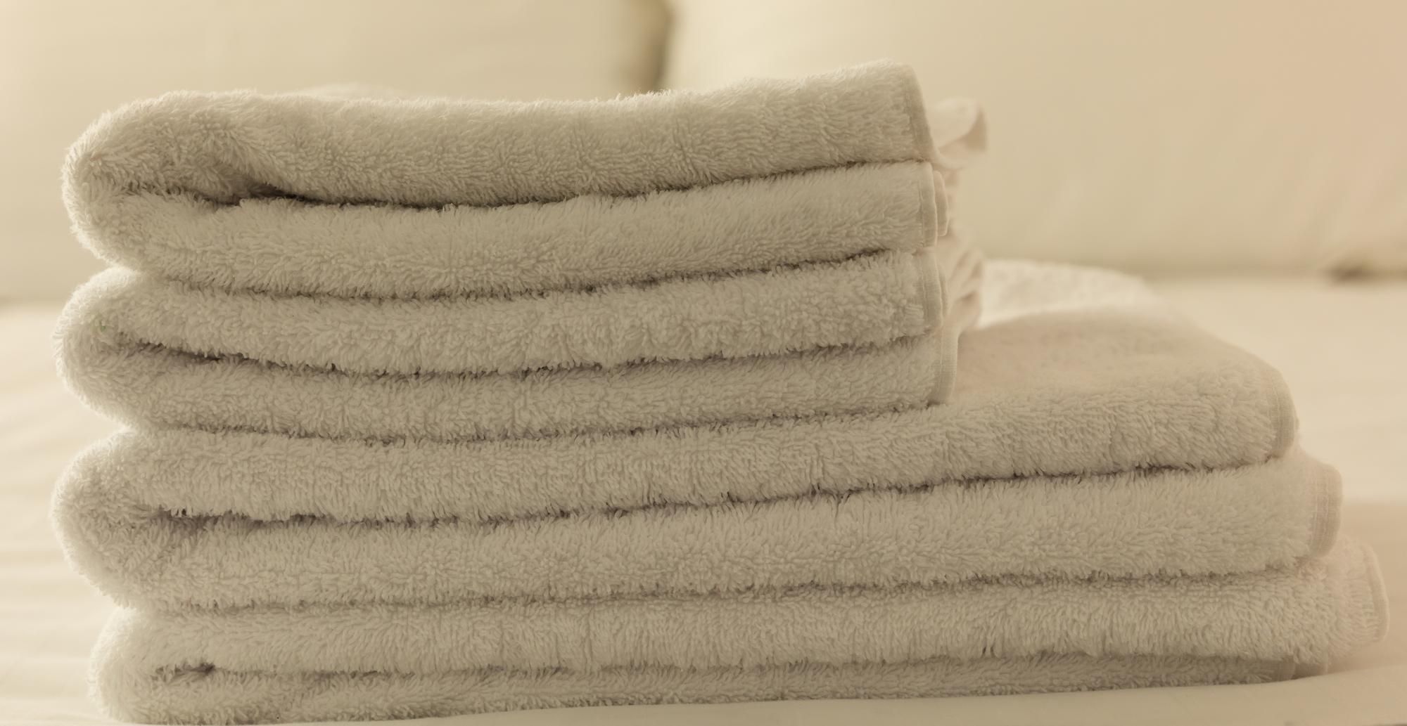 Upholstery Cleaning
