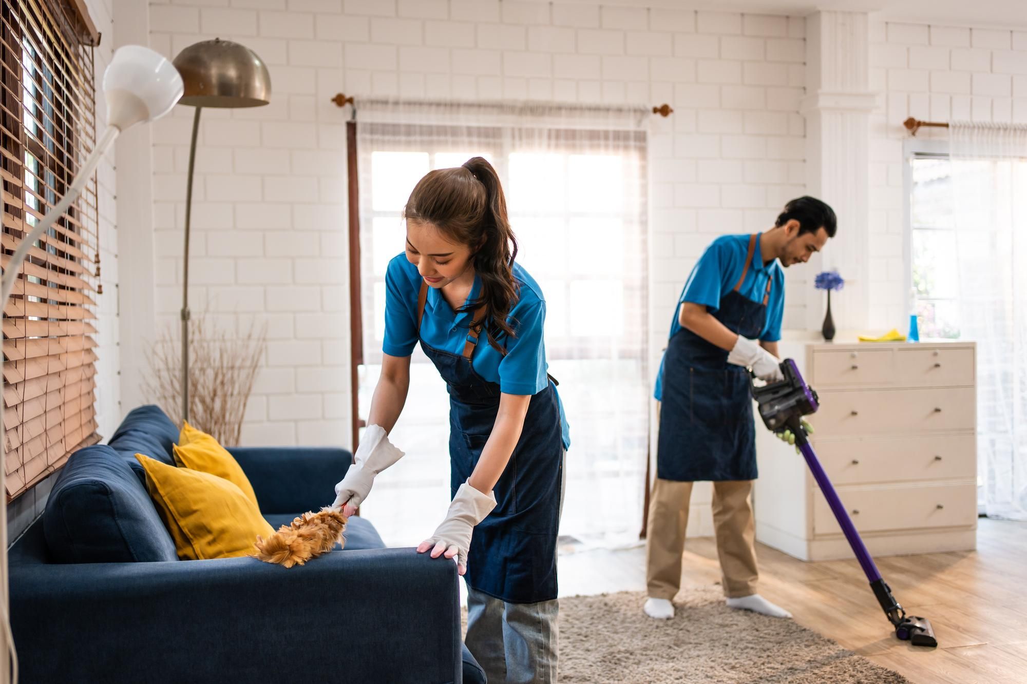 Standard Cleaning